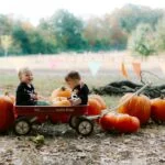 Two babies in a wagon surrounded by pumpkins