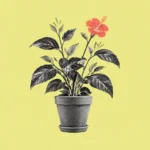 Illustration of a thriving potted plant with one coral blossom opening