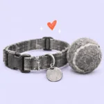 Illustration of a well-loved dog collar and tennis ball with a small coral heart