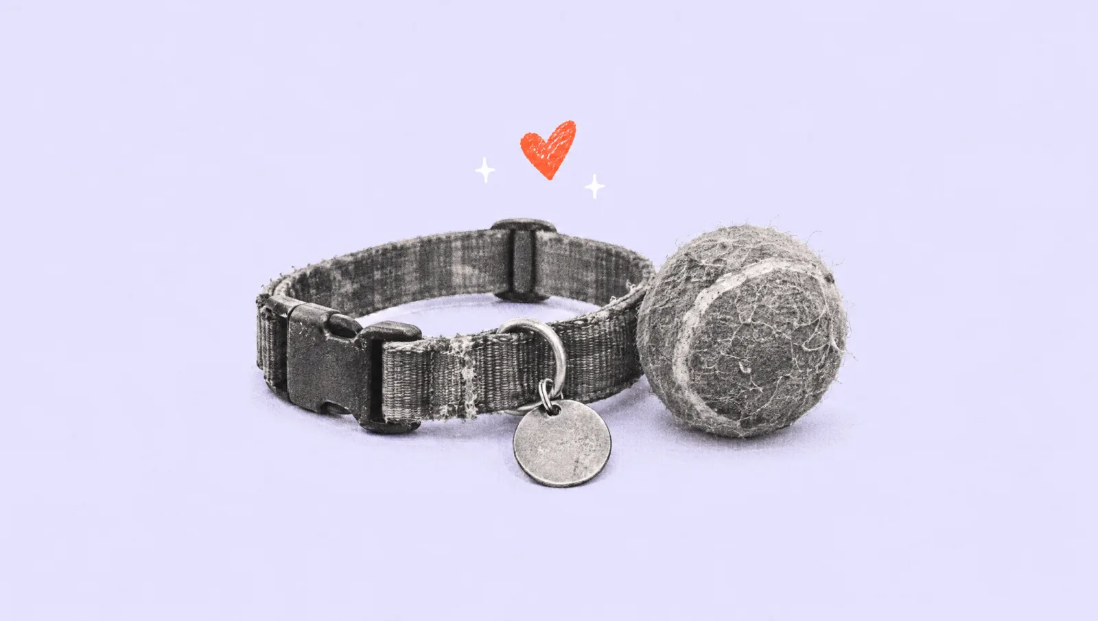 Illustration of a well-loved dog collar and tennis ball with a small coral heart